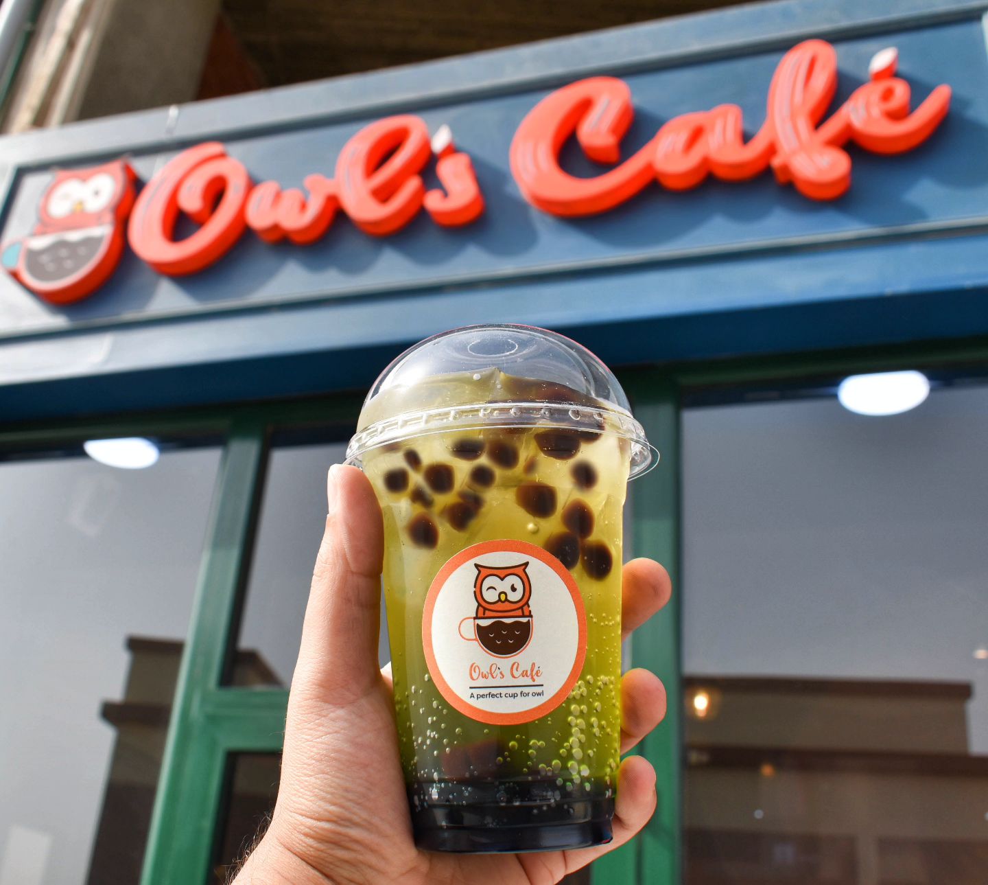 0OWLS CAFE
